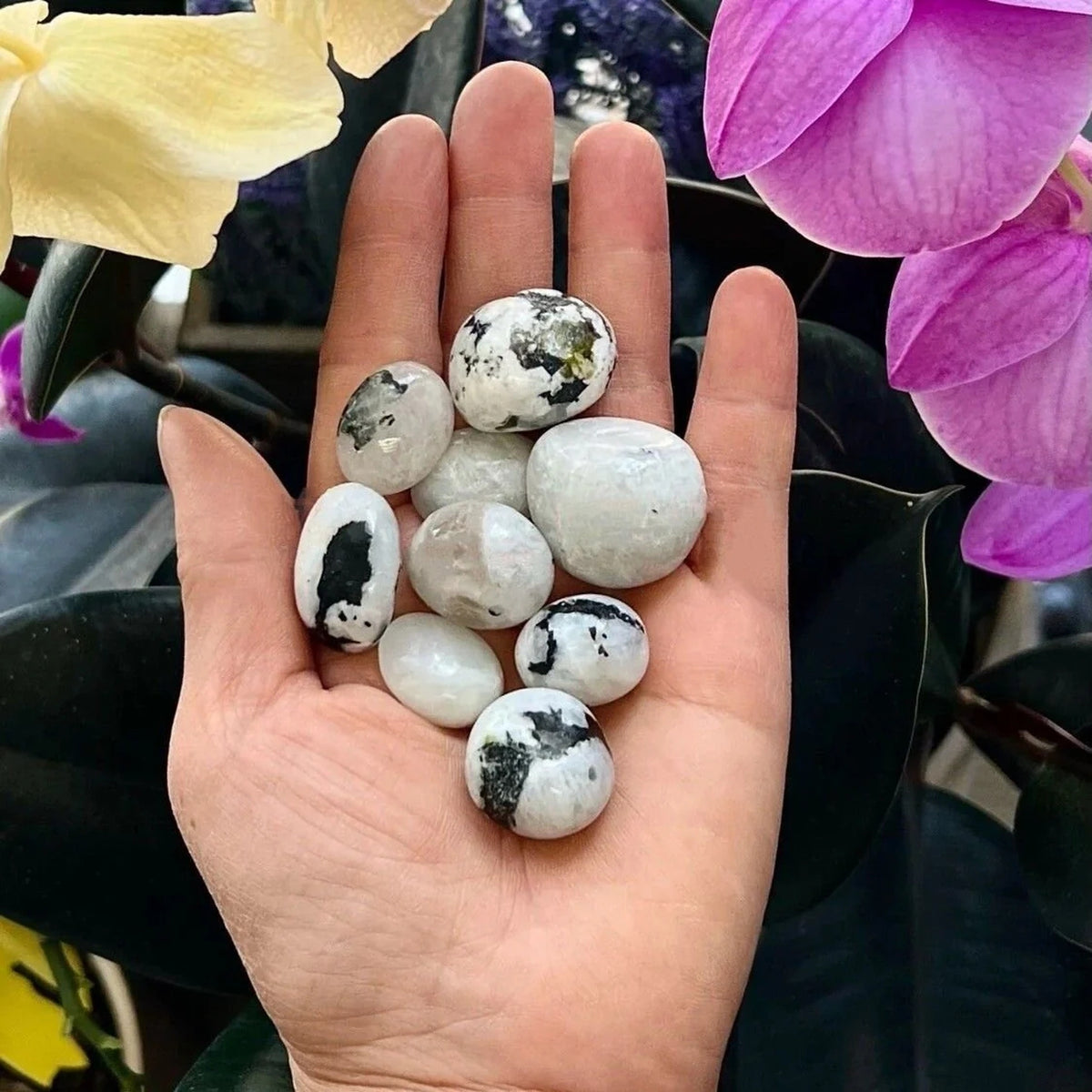 Moonstone Tumbled