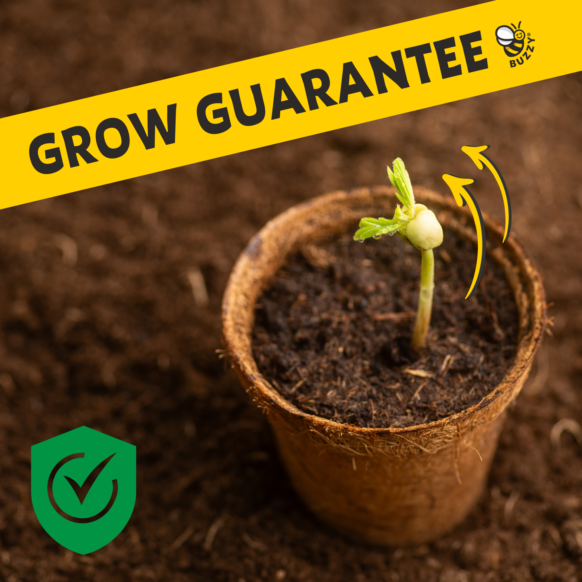 Seedling in a pot with 'Grow Guarantee' text and logo on a brown background