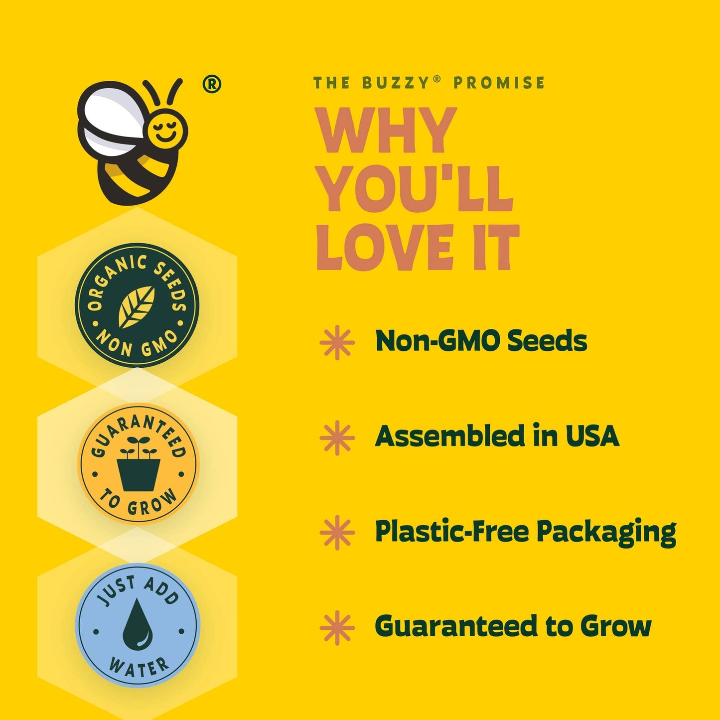 Promotional graphic for Buzzy seeds with a bee logo, text about non-GMO seeds, USA assembly, plastic-free packaging, and guaranteed growth.