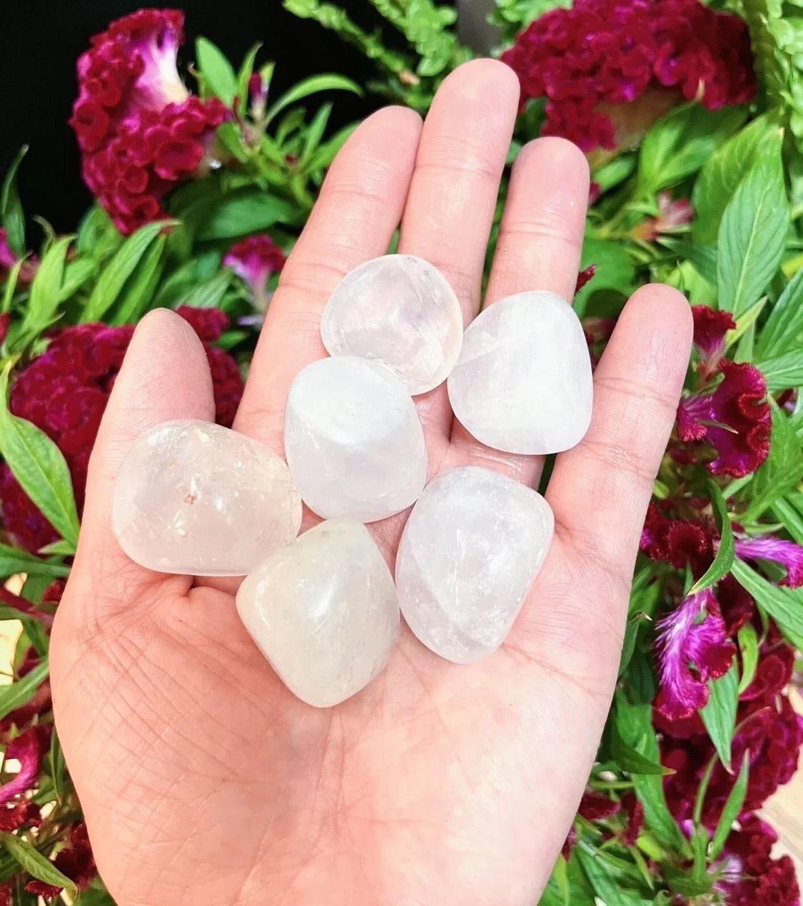 Five smooth, polished tumbled stones in pale translucent white and soft gray hues are held in an open hand, with green leaves and dark red flowers in the background.
