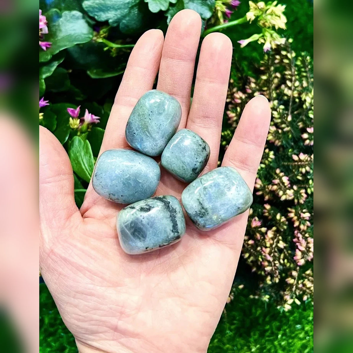 Labradorite Tumbled