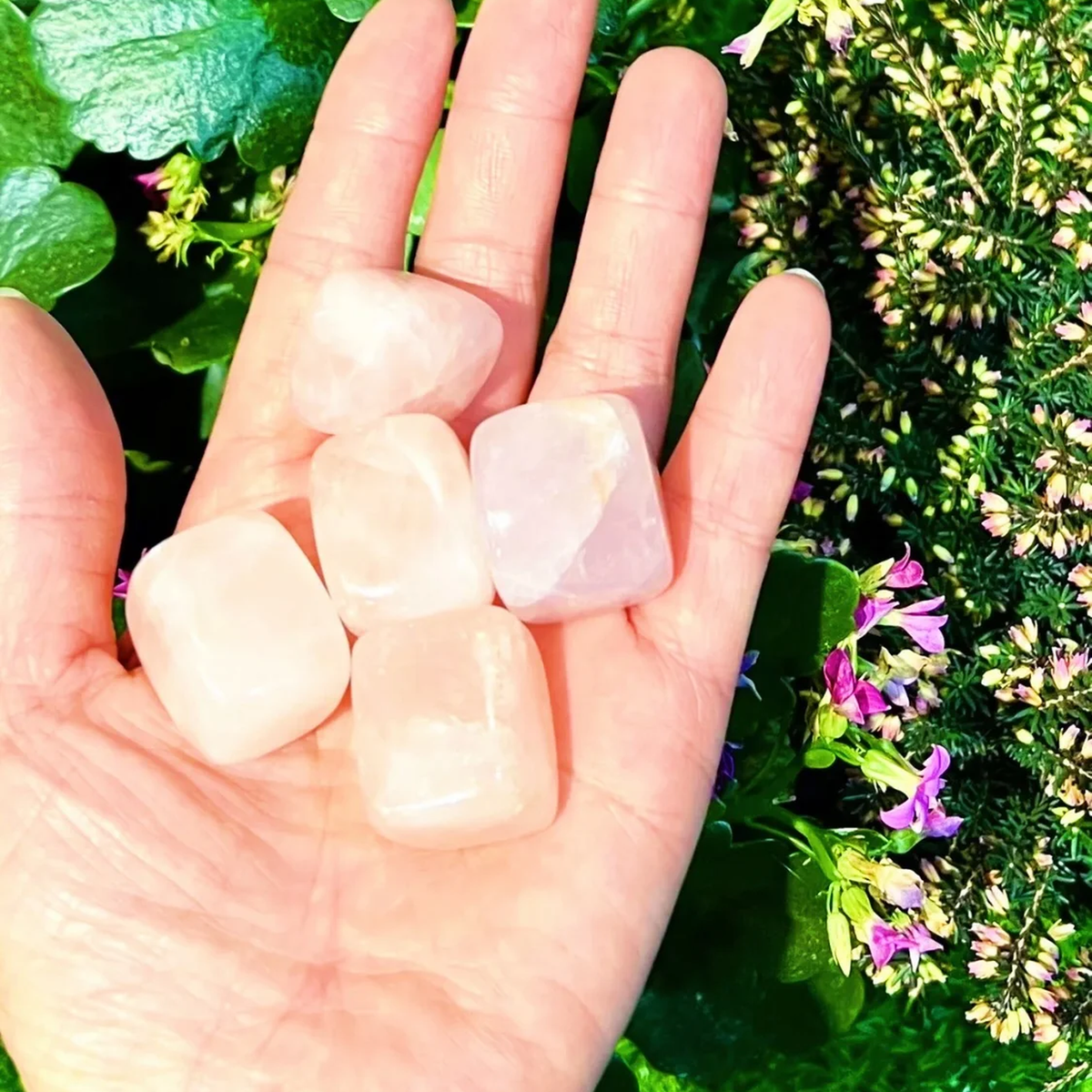 tumbled rose quartz