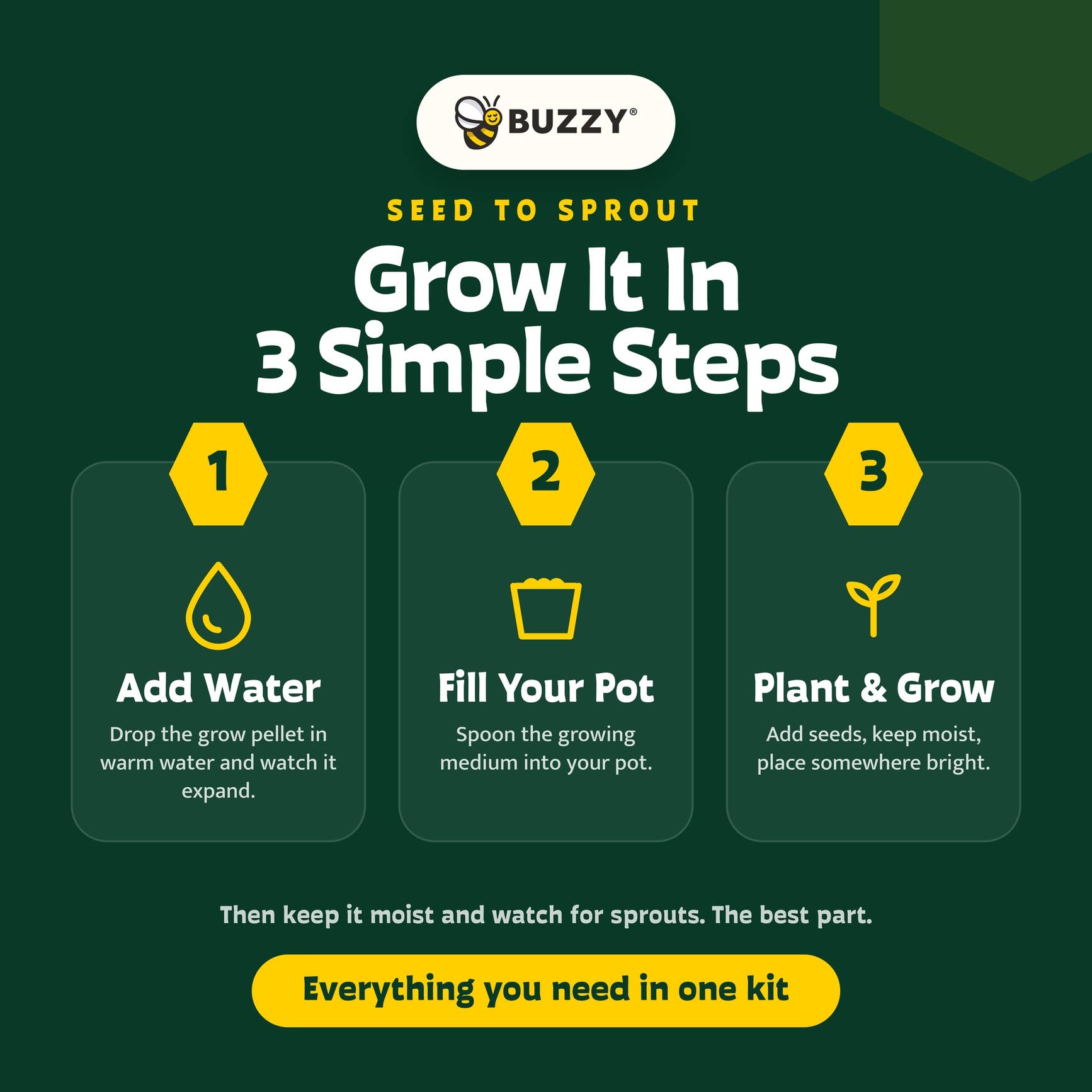 An informational graphic for Buzzy Grow It In 3 Simple Steps kit, featuring a dark green background with yellow and white text and icons illustrating adding water, filling the pot, and planting & growing.
