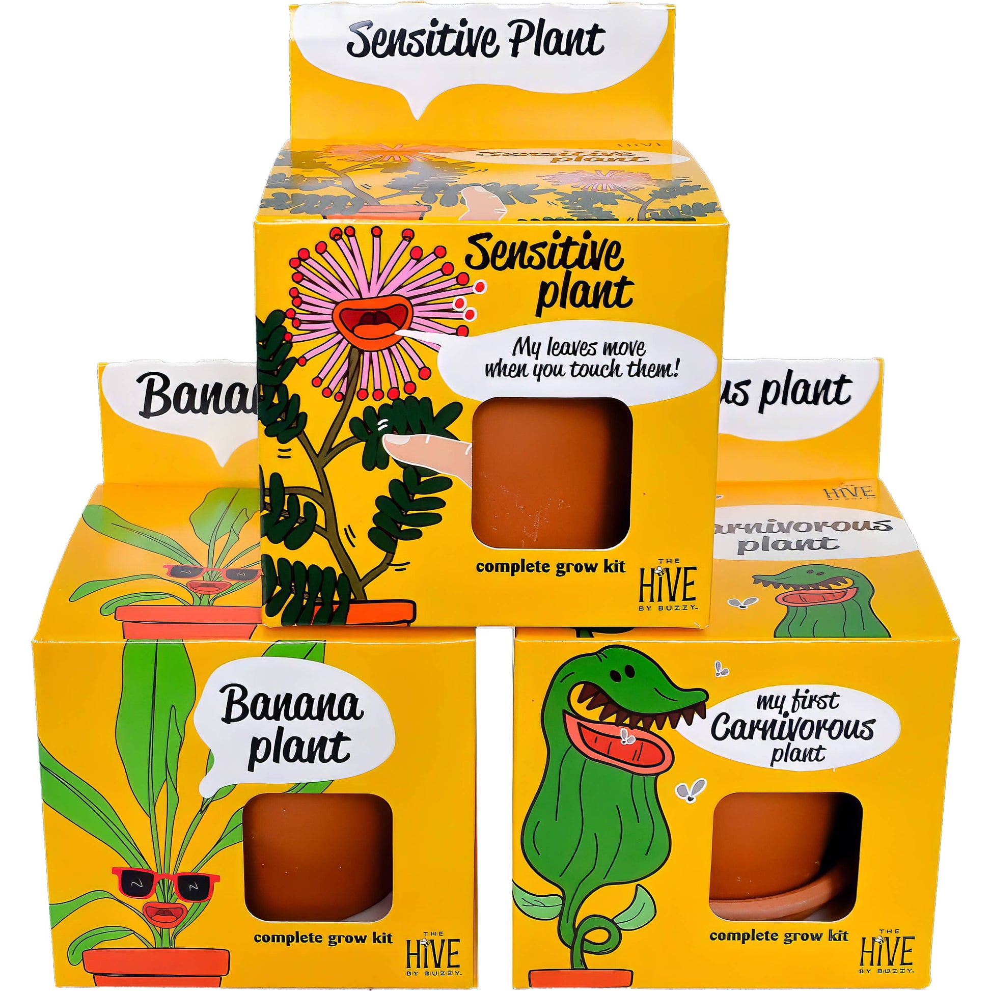 Yellow boxes with illustrations of plants and text, featuring 'Sensitive Plant' and 'Banana Plant' on a white background.
